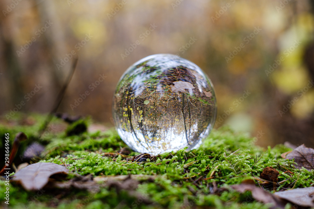 crystal glass ball against nature background with reflections crystal glass ball against nature background with reflections
