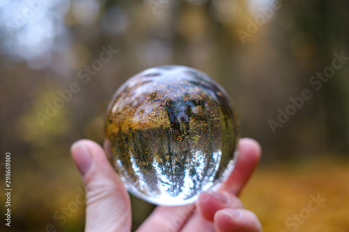 male hand holding crystal glass ball against nature background with reflections