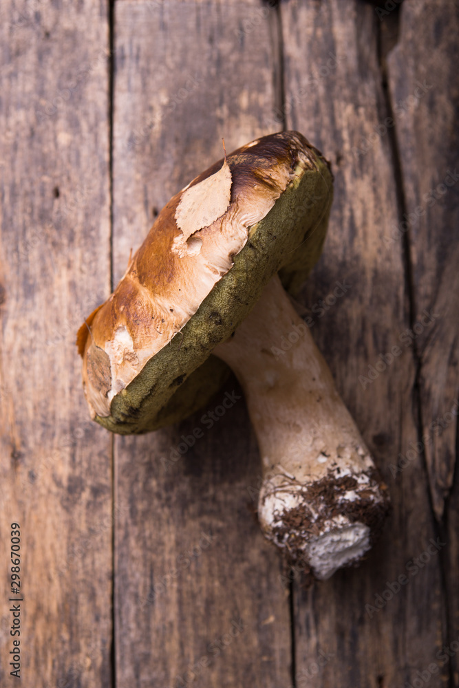 Autumn fall composition. Big raw edible mushroom Penny Bun Boletus leccinum on rustic table. Cep over wooden dark background. Autumn fall composition. Big raw edible mushroom Penny Bun Boletus leccinum on rustic table. Cep over wooden dark background.