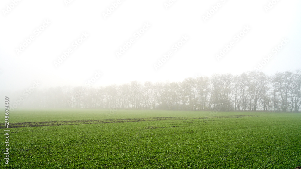 green field in foggy haze green field in foggy haze
