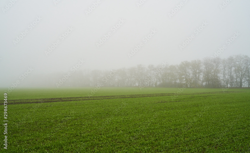 green field in foggy haze green field in foggy haze