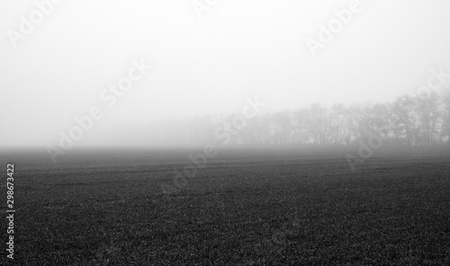 farm field in foggy haze © Igor