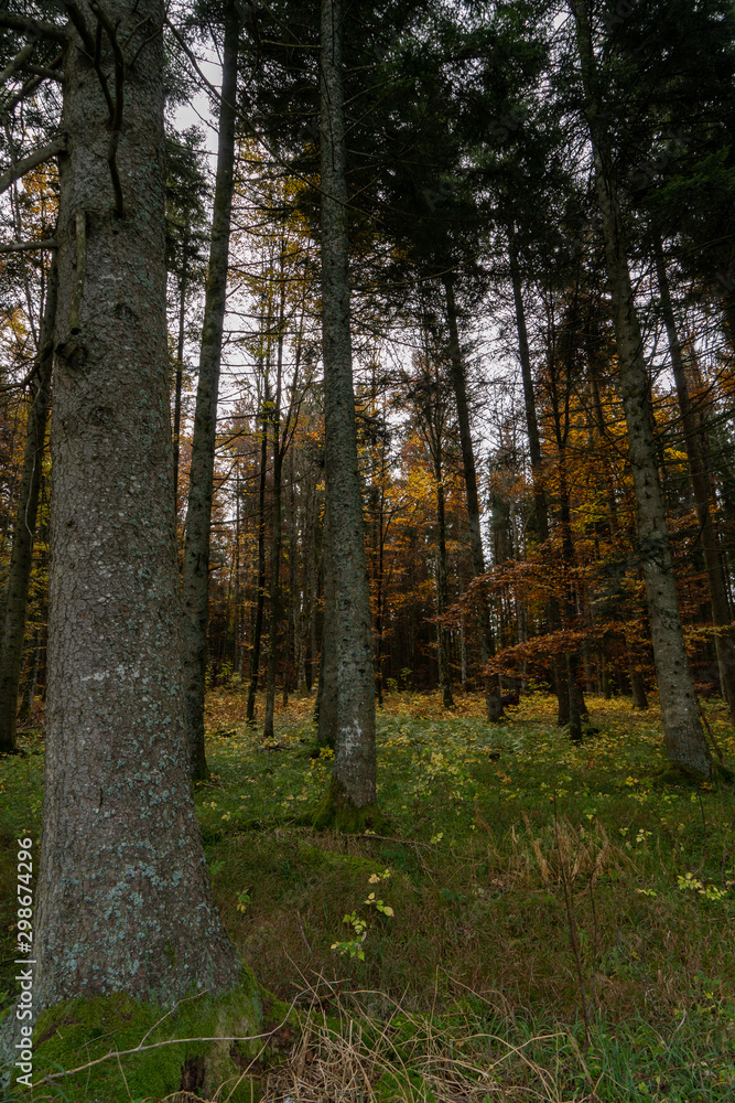 Obraz premium Herbst auf dem Heuberg Baden-Württemberg Deutschland 