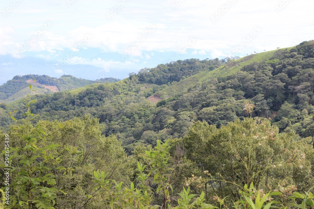 Montaña en Santa Barbara Honduras C.A Stock Photo | Adobe Stock