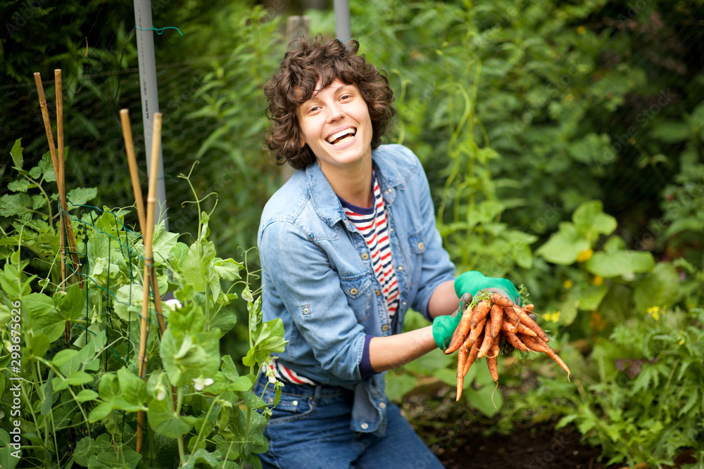 happy gardener harvesting carrots from garden - obrazy, fototapety, plakaty 
