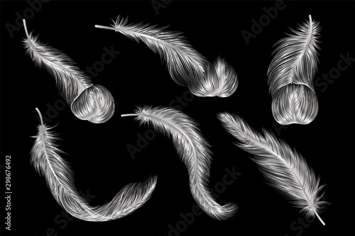Set of gold  feather. Vector illustration.