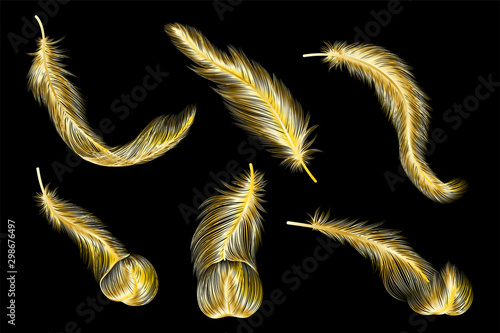 Set of gold  feather. Vector illustration.