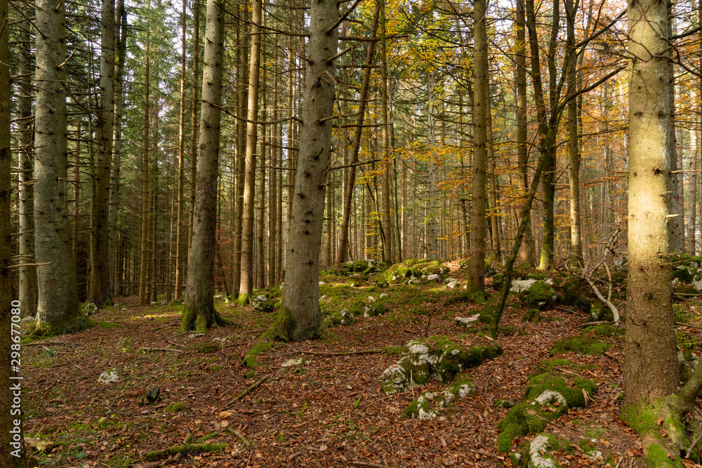 Wandern auf dem Heuberg Böttingen / Königsheim  Deutschland