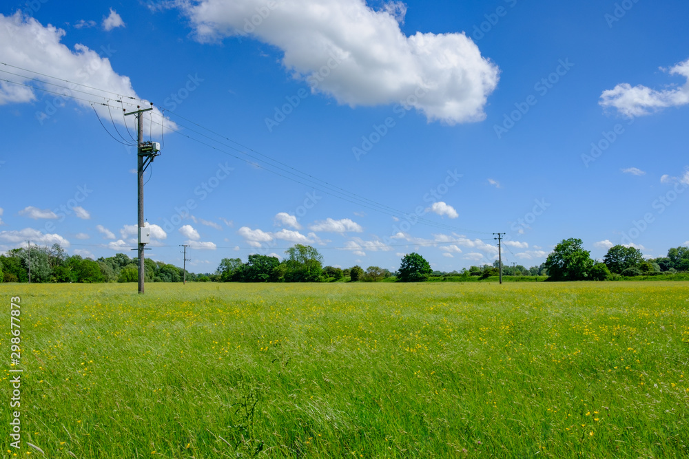 Newly installed electricity poles and transformers seen within a summer meadow, full of buttercups. The power grid supplied a nearby village.