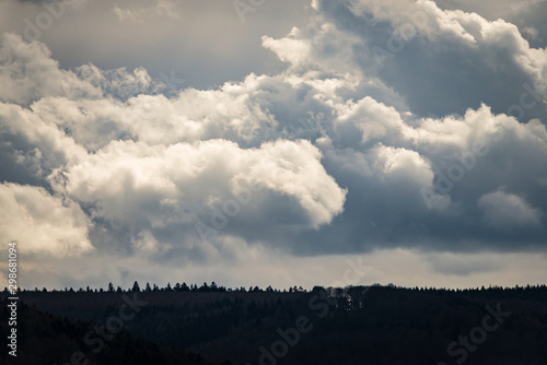 Clouds over the forest