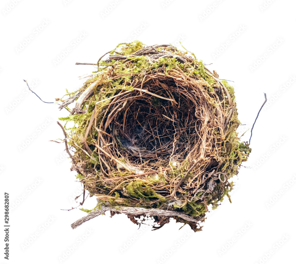 empty bird's nest on a white background empty bird's nest on a white background