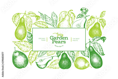 Pear design template. Hand drawn vector garden fruit illustration. Engraved style garden retro botanical banner.