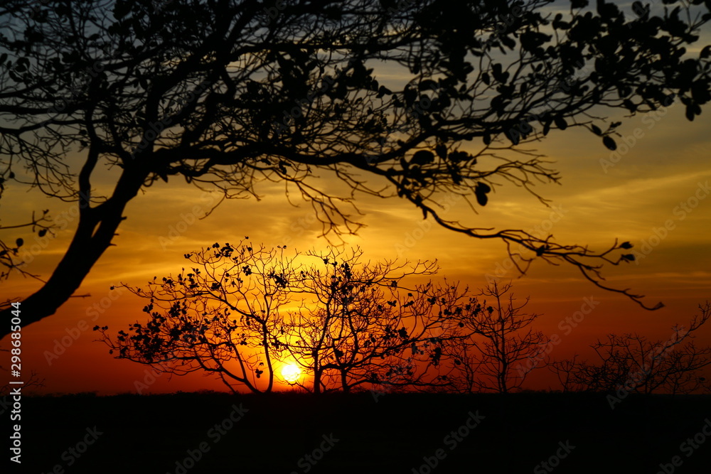 Amanhecer no sertão Amanhecer no sertão