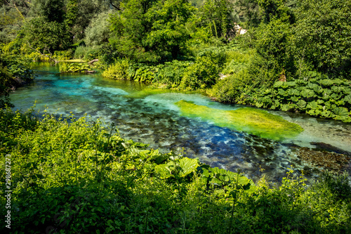 Crystal clear smooth stream flows through lush spring forest. Bistrice or Bistrica river in Albania near Blue Eye source  natural wonder  beautiful green nature background of young spring forest