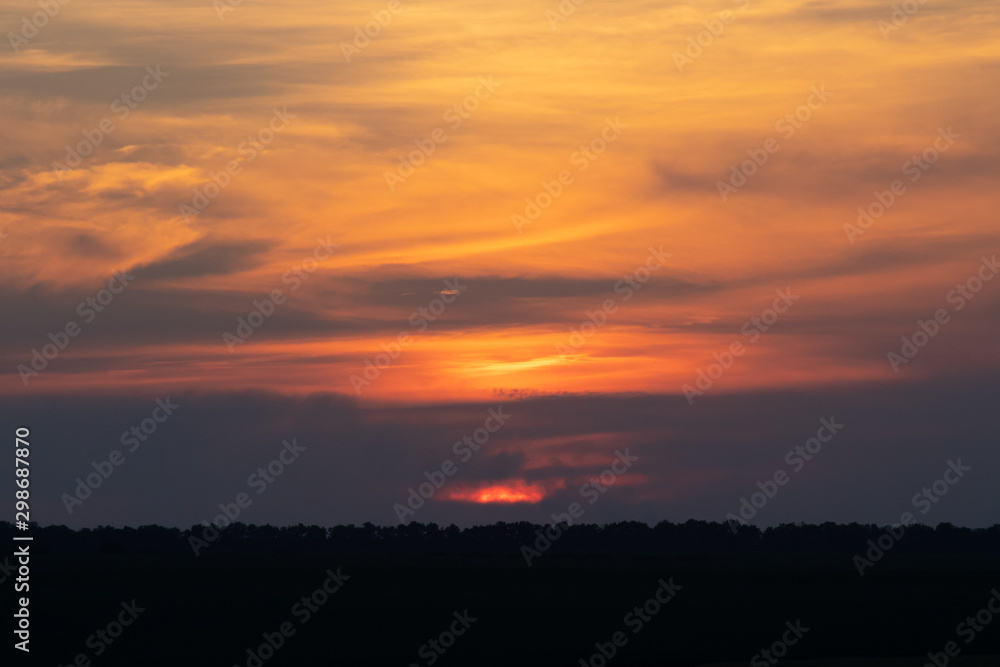 The clouds are orange. Sunset on a cloudy day. Black silhouette of the forest.