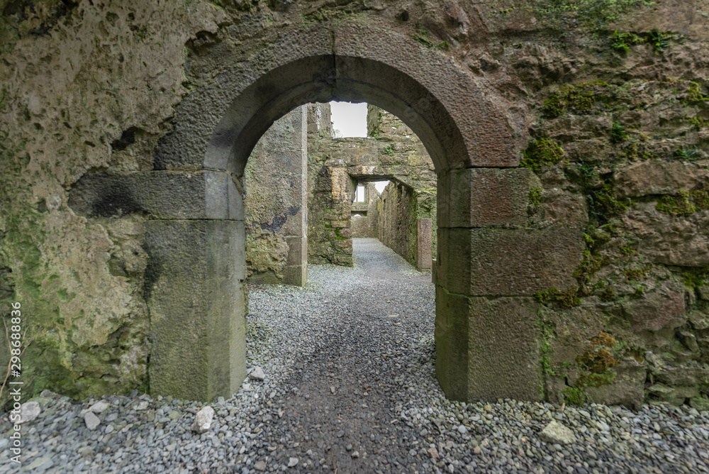 Fototapeta premium Ross Errilly Friary Ireland
