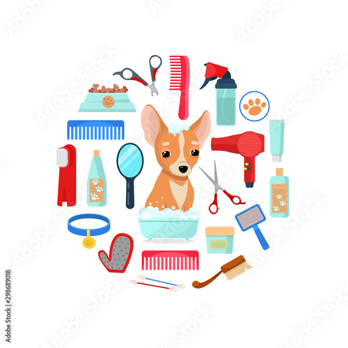 grooming tools and dog