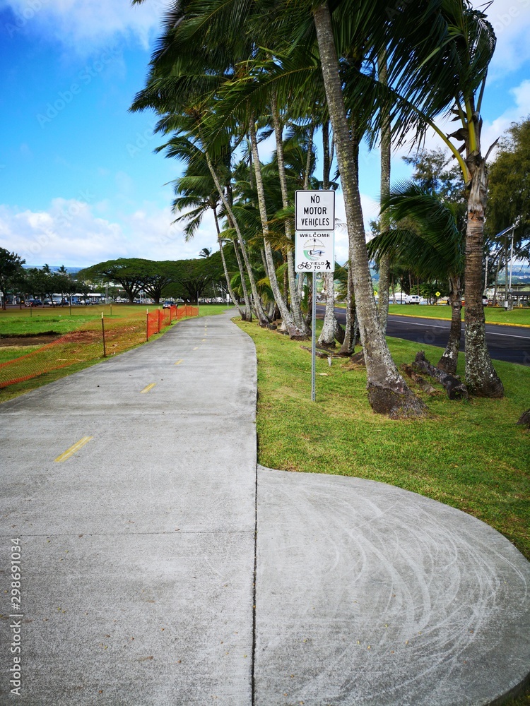 Fototapeta premium path in the park