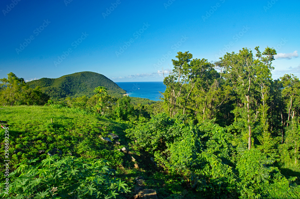 The great bay at Deshaies, Basse-Terre, Guadeloupe