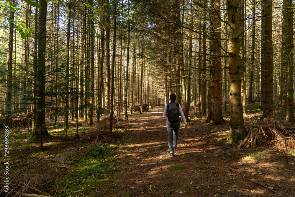 Fototapeta premium Wandern auf dem Heuberg Böttingen / Königsheim Deutschland