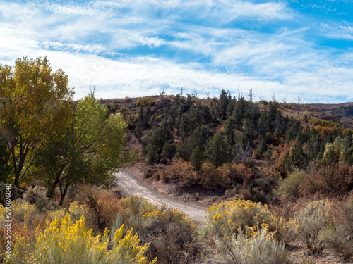 Yellow chamisa flowers line an ORV trail at Beaver Dam State Park in Nevada photo