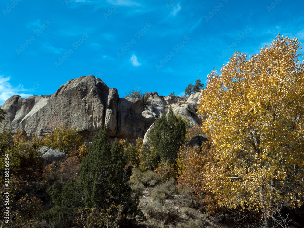 A bright-yellow tree and steep cliffs at Beaver Dam State Park in Nevada A bright-yellow tree and steep cliffs at Beaver Dam State Park in Nevada