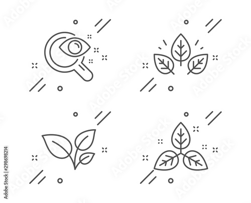 Leaves, Organic tested and Vision test line icons set. Fair trade sign. Grow plant, Bio ingredients, Eyesight check. Leaf. Healthcare set. Line leaves outline icon. Vector
