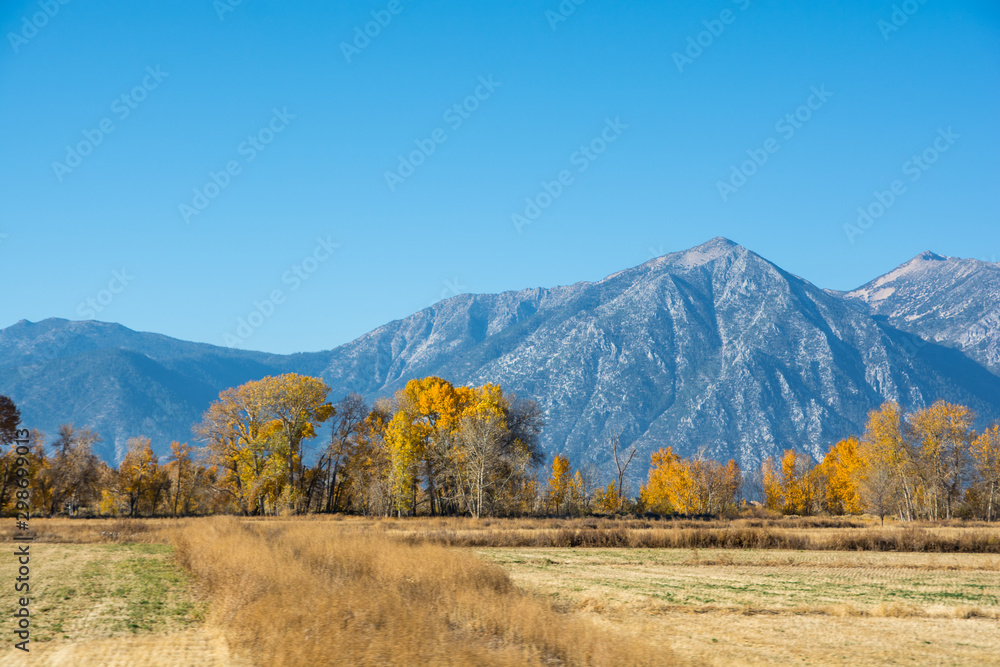 Fototapeta premium Road 395 (from Tahoe to Yosemite). View from the car. 