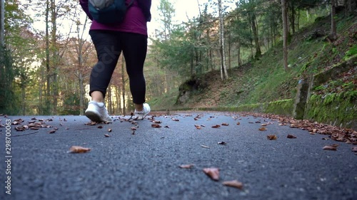 passeggiare in bosco