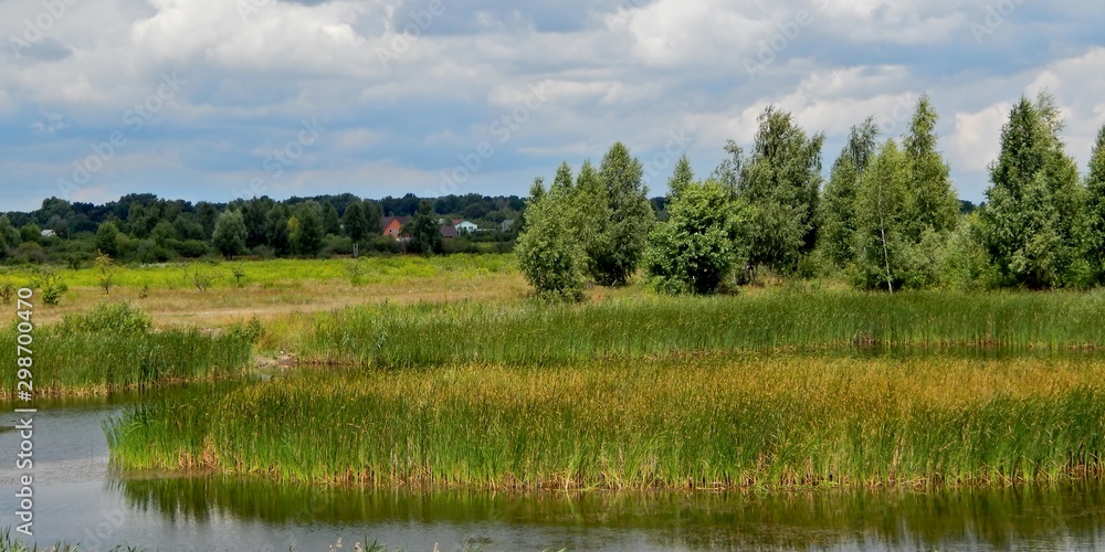 Birch trees are growing on the lake. Birch trees are growing on the lake.