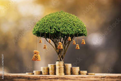 Stacking gold coins and money bag of tree with growing put on the wood on the morning sunlight in public park, Saving money and loan for business investment concept.