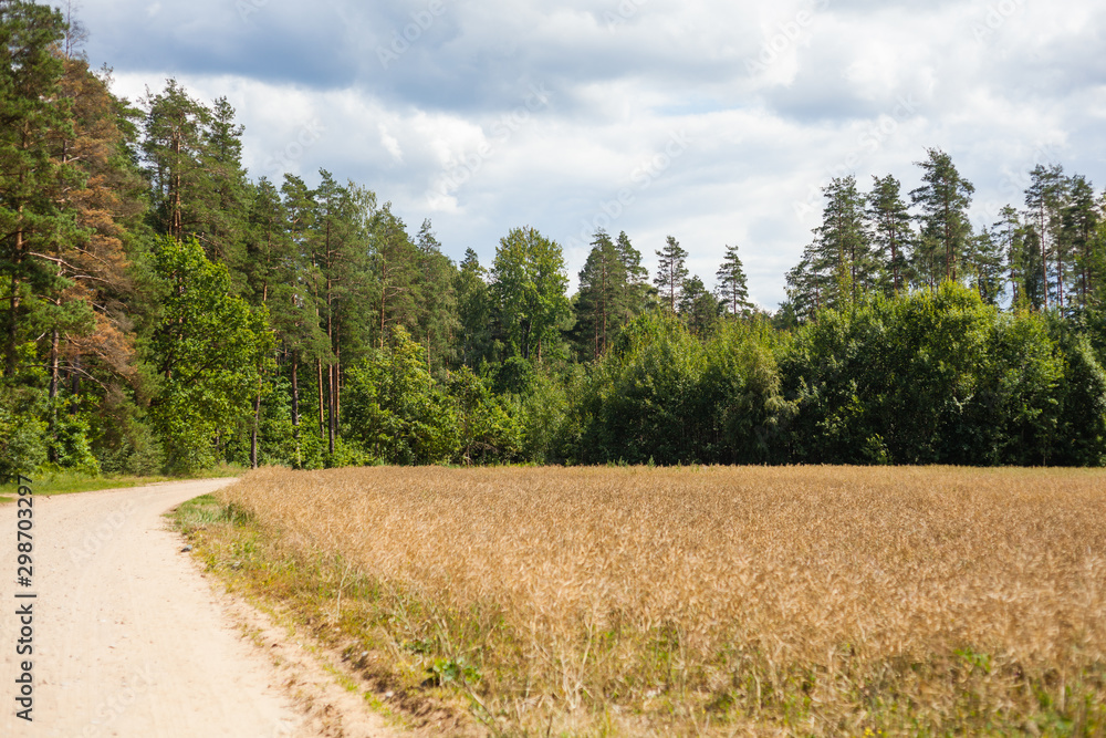 road in the countryside road in the countryside