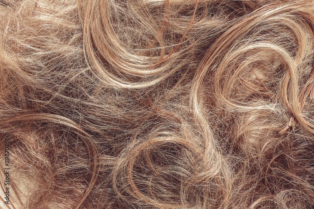 Obraz premium Hair close-up, background. Flat lay. Scissors, comb and background of hair with curls. The concept of haircuts, care, hair loss, baldness