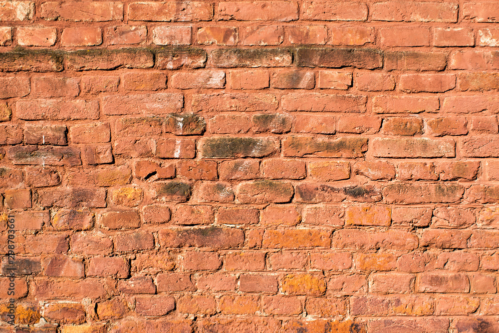 Obraz premium brick wall construction closeup brown design red