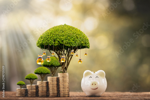 Piggy bank and stacked coin and gold money bag of tree with growing value as destinations in the public park, Saving money for planning business  investment in the future concept. photo
