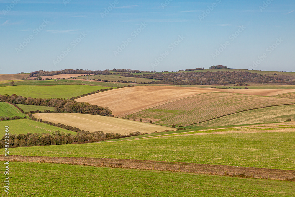 An autumnal patchwork landscape in Sussex, on a sunny day