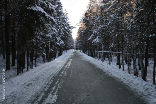 Зимний лес © serg_amigo