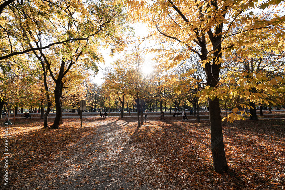 Fototapeta premium Herbstlaub