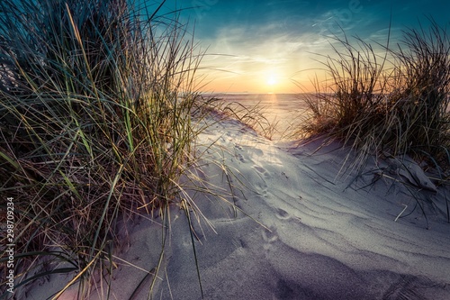 Beautiful scenery of grass grown in the sand on the seashore with sunset in the background