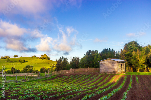 Chepu, Chiloe Island, Chile - Sunset Hour over the Organic Eco Farm in Chepu photo