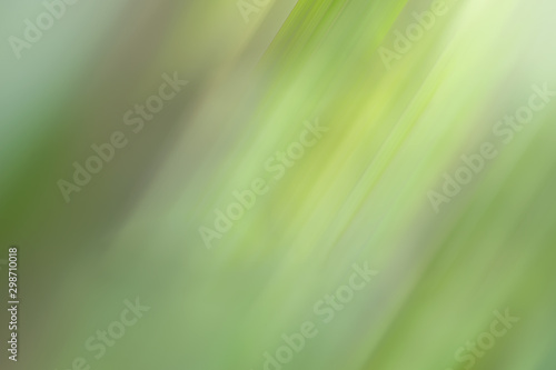 Abstract green color and blurred background