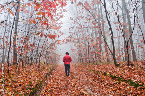 Foggy morning in the autumn forest. A woman in a red jacket walks down a forest path covered with fallen leaves