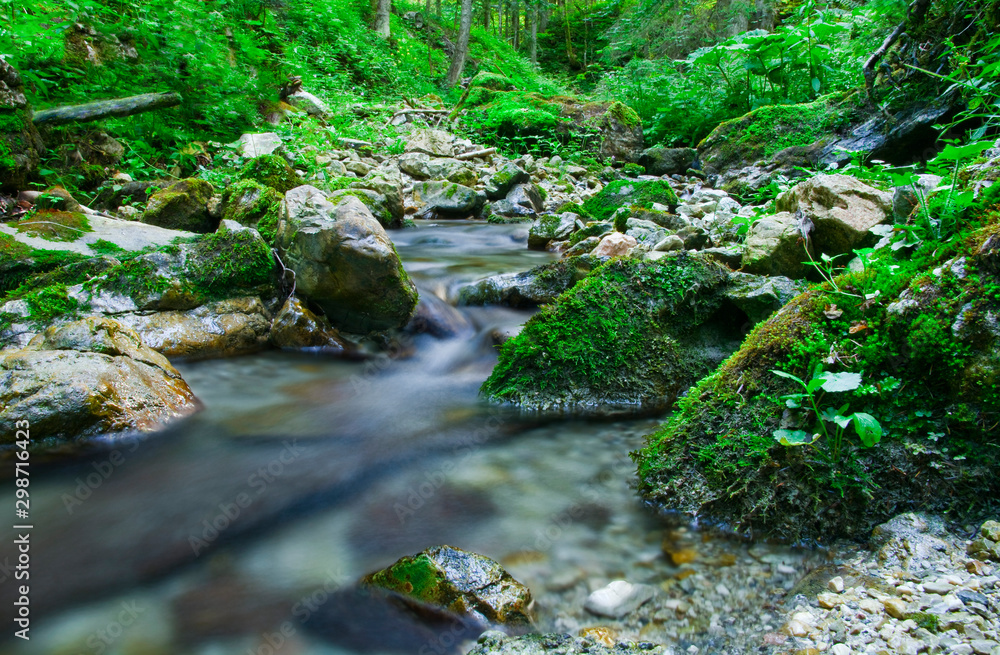 Obraz premium Mountain River and and rocks covered with moss in the wood