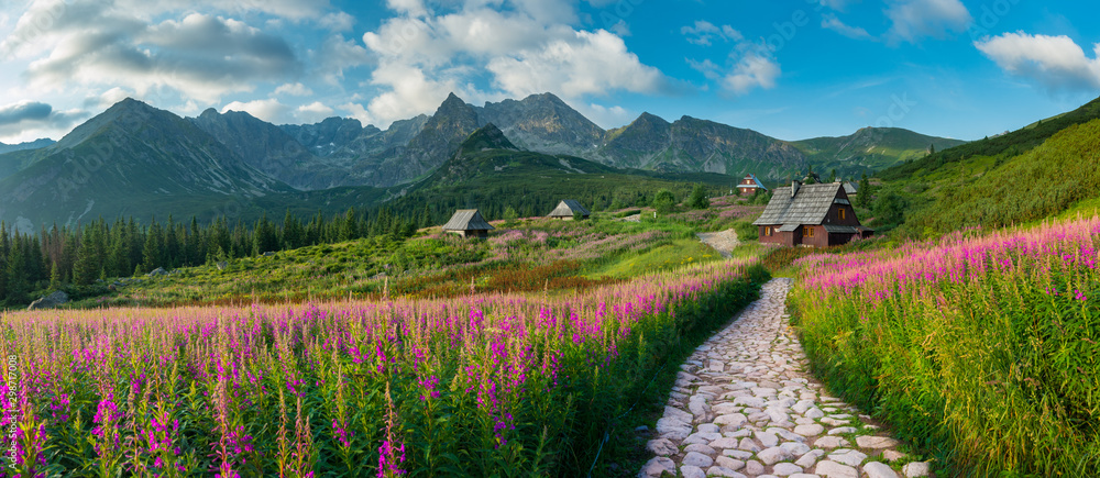 mountain landscape, Tatra mountains panorama, Poland colorful flowers and cottages in Gasienicowa valley (Hala Gasienicowa), summer - obrazy, fototapety, plakaty 