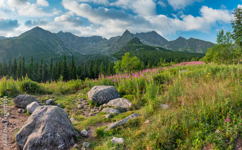 Mountain landscape, Tatra mountains panorama, Poland colorful flowers and peaks in Gasienicowa valley (Hala Gasienicowa), summer
