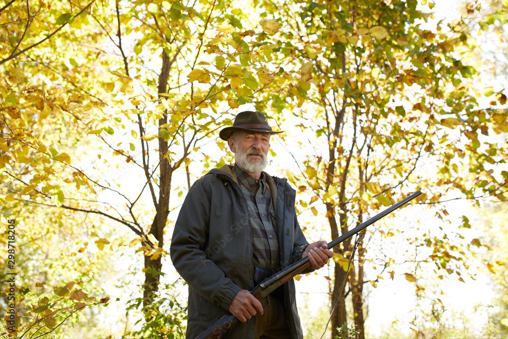 Senior caucasian hunter holding shotgun ready to shoot on wild animals, shoot on bird in forest. Senior caucasian hunter holding shotgun ready to shoot on wild animals, shoot on bird in forest.