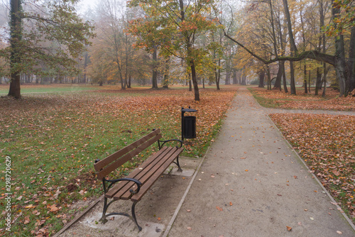 Park dworki w Iłowej w jesienny, mglisty poranek.