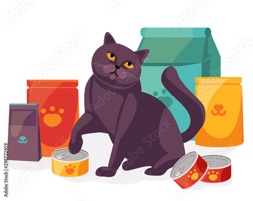 cat in pet store with packages and canned food for pets. British Scottish cat with its feed. Vector illustration