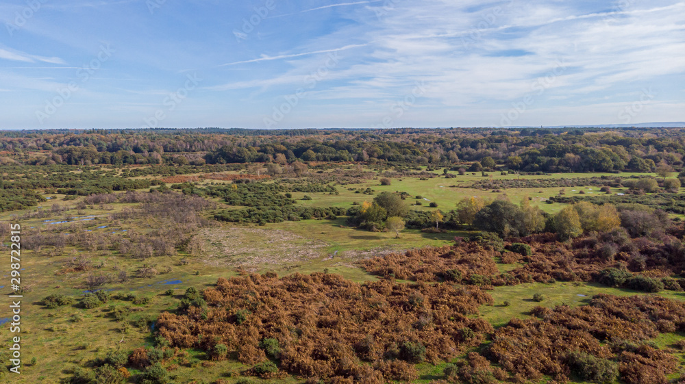 An aerial view of the New Forest with heartland, forest and wild vegetation with beautiful autumn colors under a majestic blue sky and white clouds