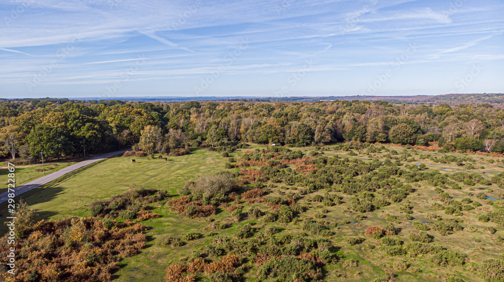 An aerial view of the New Forest along a rural road with heartland, forest and wild vegetation with beautiful autumn colors under a majestic blue sky and white clouds